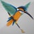 KingfisherGFX