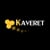 Kaveret - כוורת