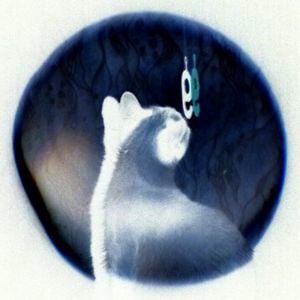 Profile picture for solarolga
