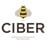 CIBER Science