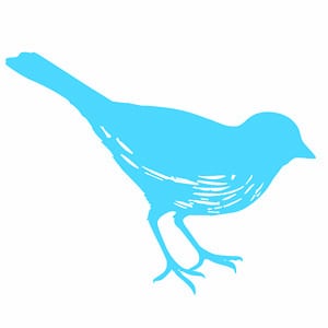 Profile picture for Suite One Productions