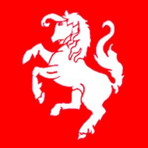 Profile picture for Twentekrant