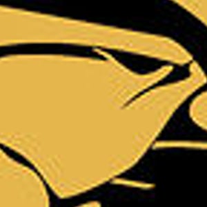 Profile picture for jarząb