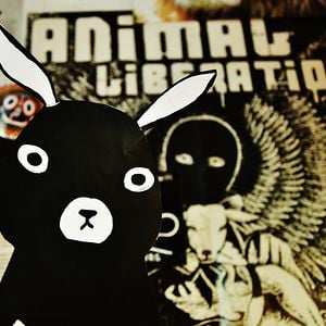 Profile picture for Vegan Bunnies