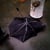 Rainycitytales332