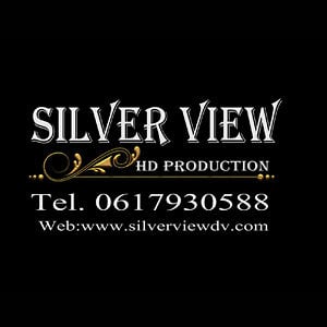Profile picture for silverview