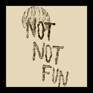 Profile picture for Not Not Fun