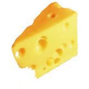 Profile picture for swisscheesed