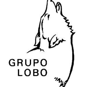 Profile picture for Grupo Lobo