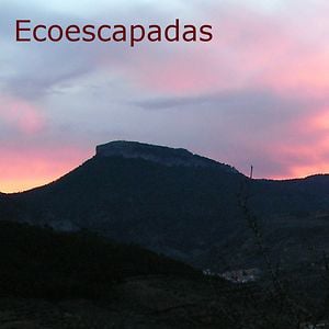 Profile picture for Ecoescapadas