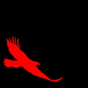 Profile picture for Wingspan