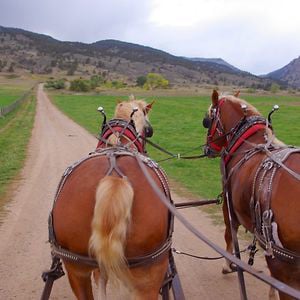 Profile picture for Sylvan Dale Guest Ranch