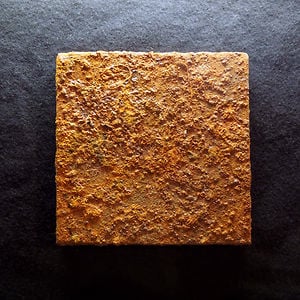 Profile picture for Pierce Warnecke