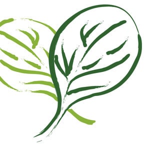 Profile picture for sweetgreen