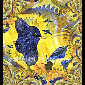 Profile picture for Nat Hall - Nordicblackbird