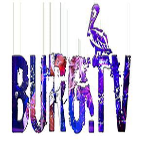 Profile picture for BurgTV