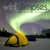 Wildglimpses