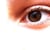 Ines