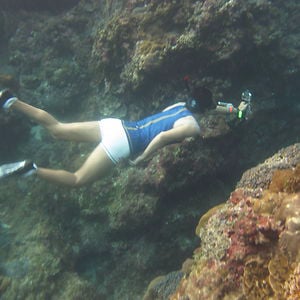 Profile picture for FREEDIVING in Taiwan (GREG)