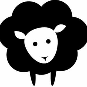 Profile picture for Stepheny Keith