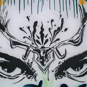 Profile picture for Antrax Street Art