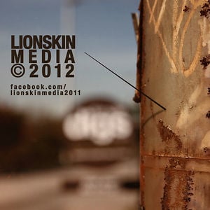 Profile picture for LionSkin Media