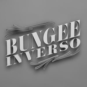 Profile picture for BUNGEE INVERSO