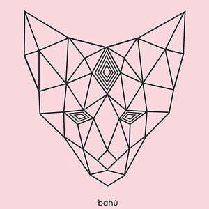 Profile picture for Mariabahu