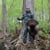 Matt Rehor, Bow Hunting