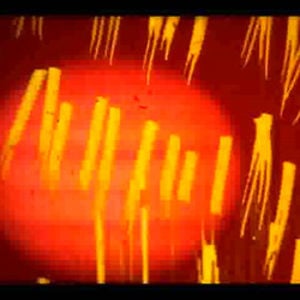 Profile picture for get-effect