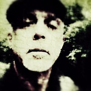 Profile picture for Michel Redon aka Lord Bugs II