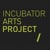 Incubator Arts Project