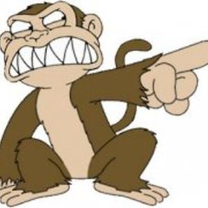 Profile picture for crazymonkey057