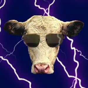 Profile picture for Aleix Pol