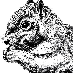 Profile picture for WHAT YOU STEAL