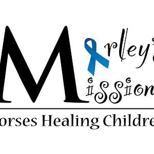 Profile picture for Marleys Mission