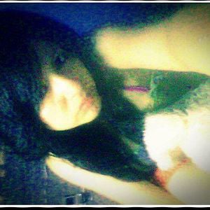 Profile picture for MISEL RAMOS