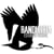 Bandurria Estudio Visual