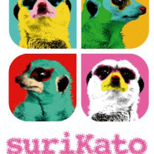 Profile picture for surikato