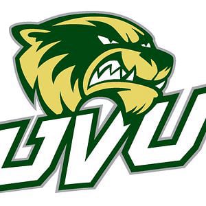 Profile picture for WolverineGreen