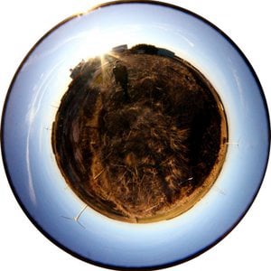 Profile picture for Johnny Burnett