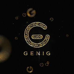 Profile picture for GENIG Studio