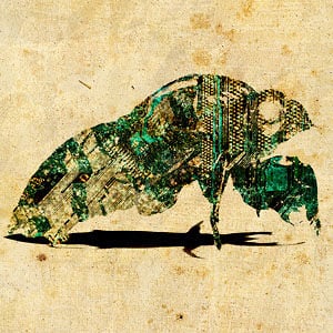 Profile picture for Electric Animal Circus