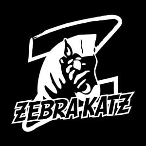 Profile picture for ZEBRA KATZ