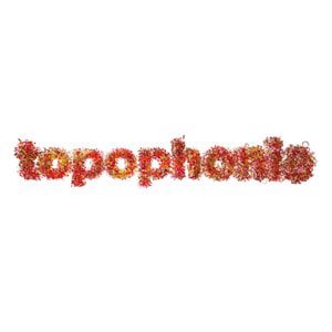 Profile picture for Topophonie Group