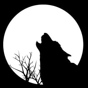 Profile picture for Wolf Pictures
