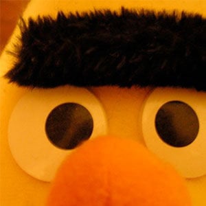 Profile picture for Jochen Wild