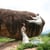 www.boulderingthailand.com
