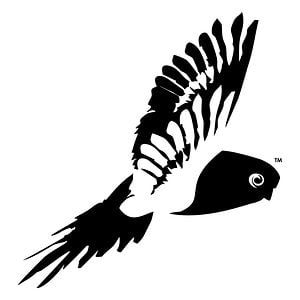Profile picture for Night Parrot Productions