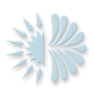 Profile picture for Nomad Inception